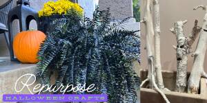 Photo: Repurpose Halloween Crafts